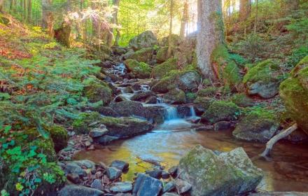 Frühling im Hotzenwald